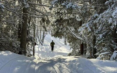 13 turer fjällen runt, vinterns bästa skidäventyr