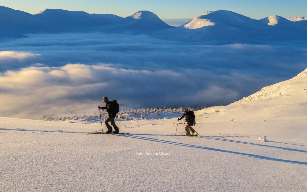 Hitta vinterns bästa skidäventyr