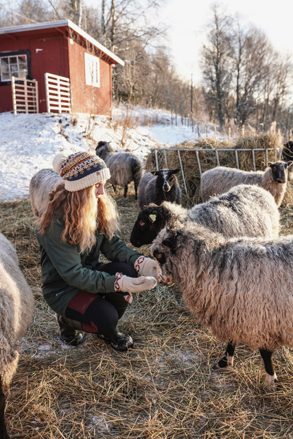 Anna amongst the sheep outside the hotel