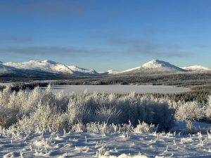 kallt, snötäckt och frostigt landskap